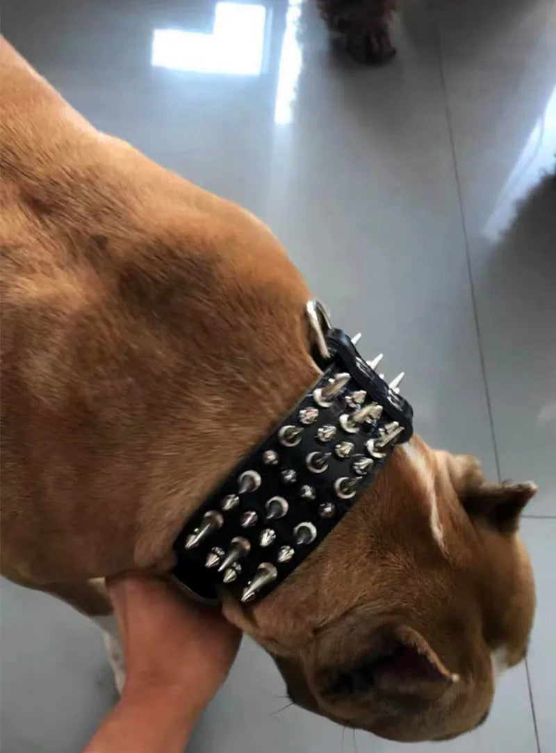 Rivet Spike Fashion Dog Collar