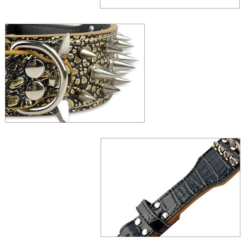 Rivet Spike Fashion Dog Collar
