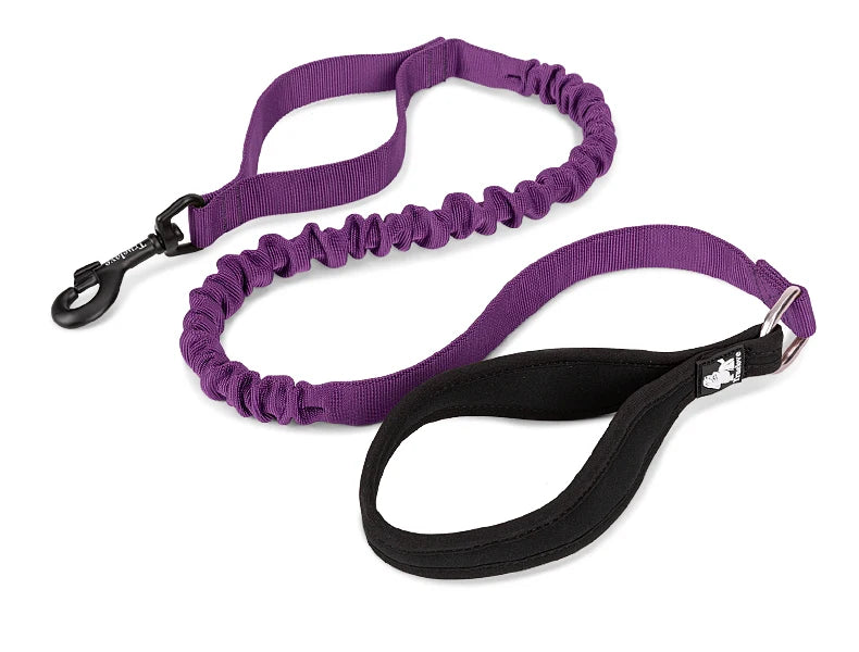 Flexible Cushioned Explosion-Proof Elastic Dog Leash