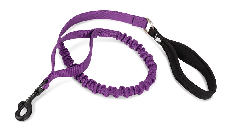 Flexible Cushioned Explosion-Proof Elastic Dog Leash