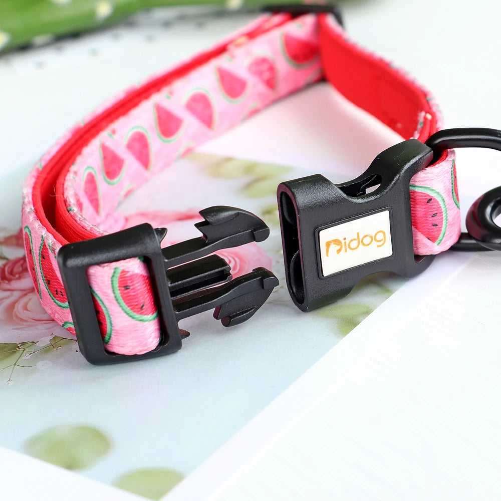 Print Nylon Dog Collar and Leash Set