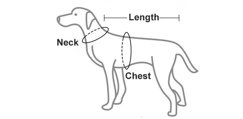 Reflective Pet Lifesaver Vest