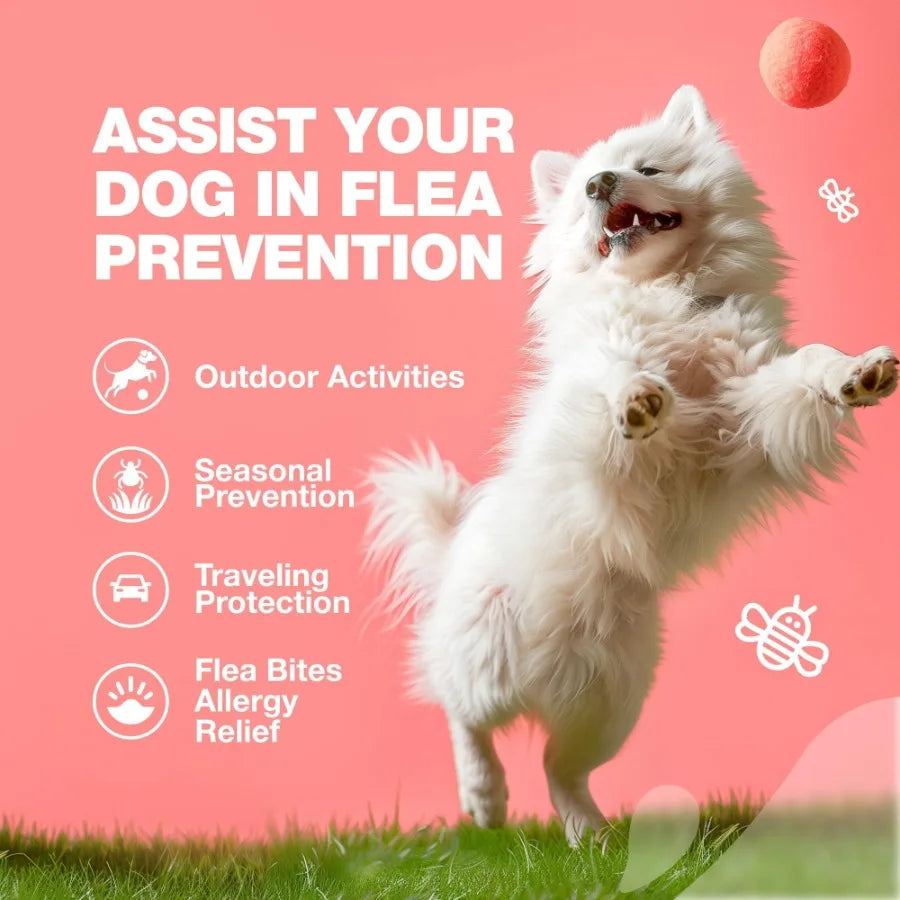 Dog Flea & Tick Prevention Natural Soft Chews