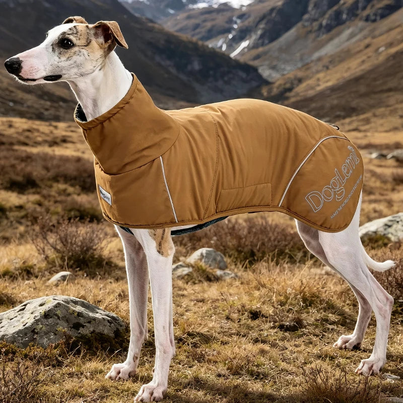 Winter Waterproof Insulated Softshell Dog Parka
