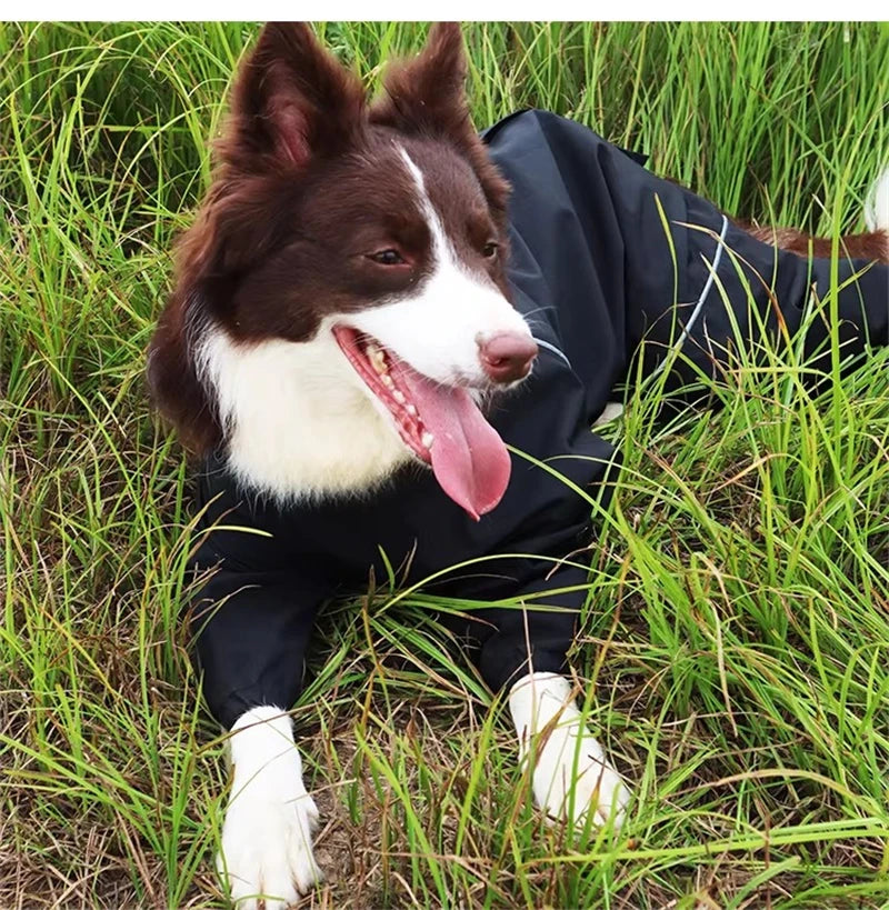 Adjustable Waterproof Dog Jump Suit w/Detachable Hood