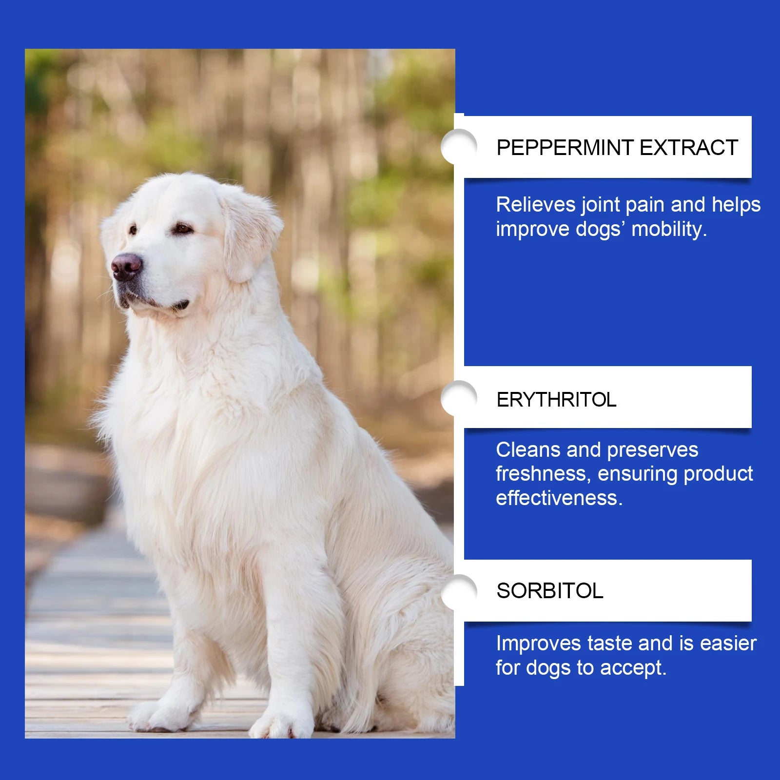 Dog Joint Relief Nutritional Supplement