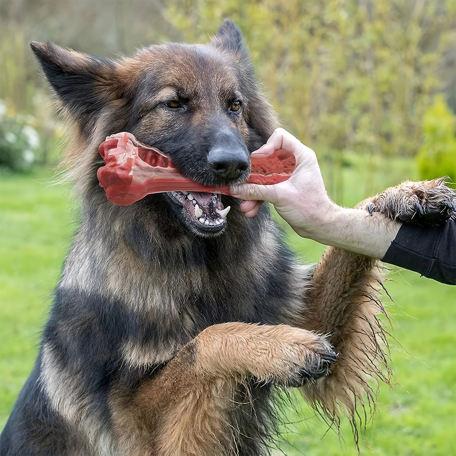 Bone-Shaped Indestructible Rubber Dog Chew Toy