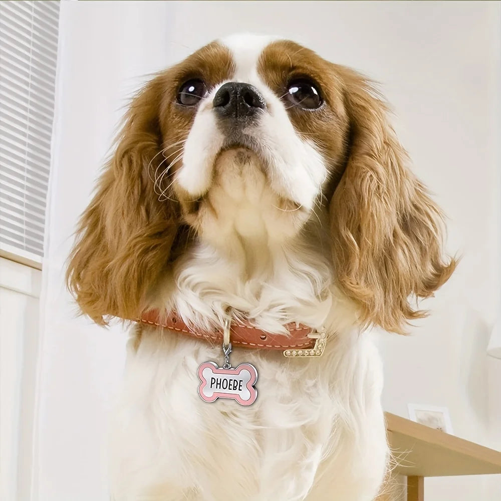 Custom Engraved Bone-Shaped Dog ID Tag