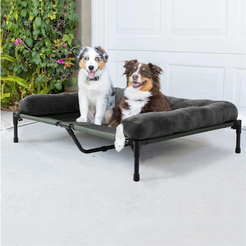 Breathable Mesh Elevated  Dog Bed w/Comfy Neck Bolster