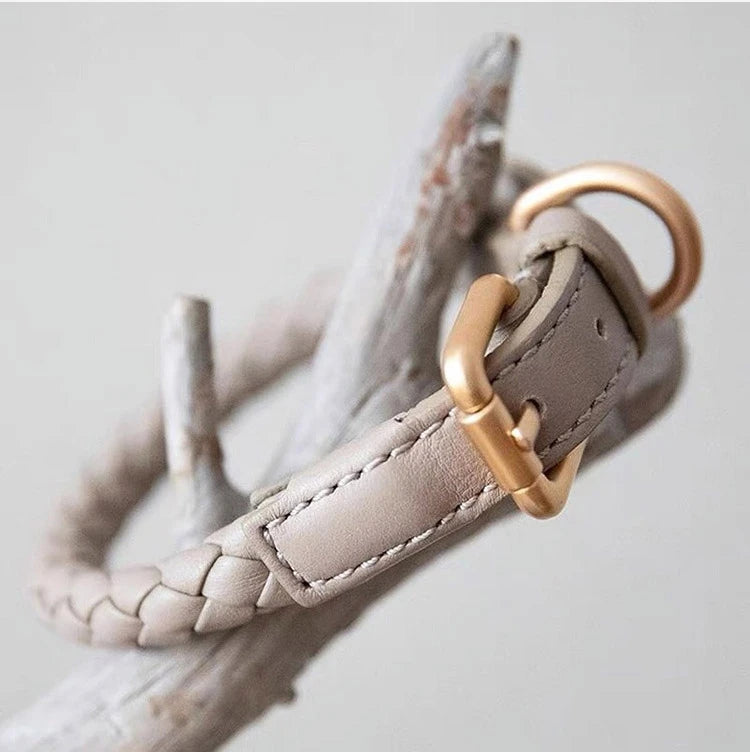 PU Leather Dog Collar Leash