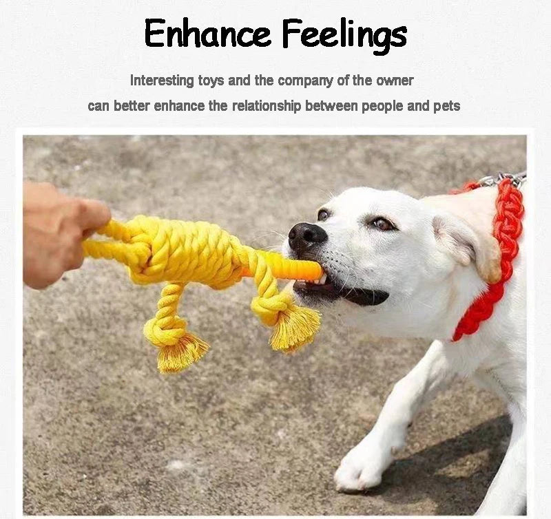 Durable Braided Bite-Resistant Rope Dog Toys