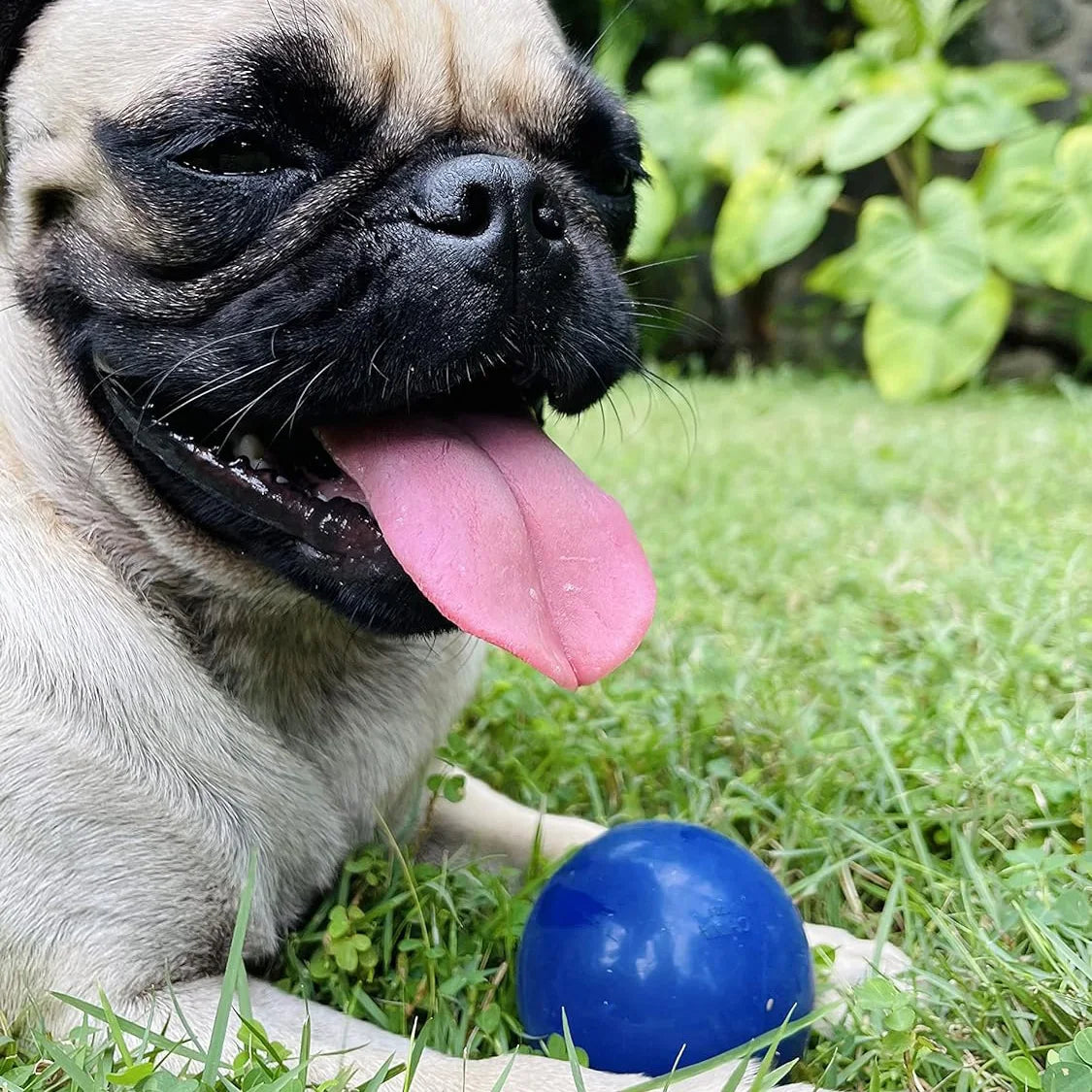 Super Chewy Tough Natural Rubber Dog Ball