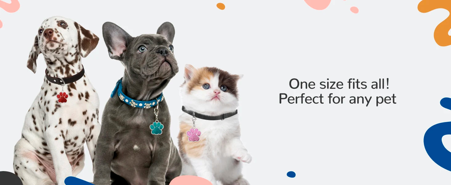 Engraved Stainless Steel Pet Pendant ID Tag