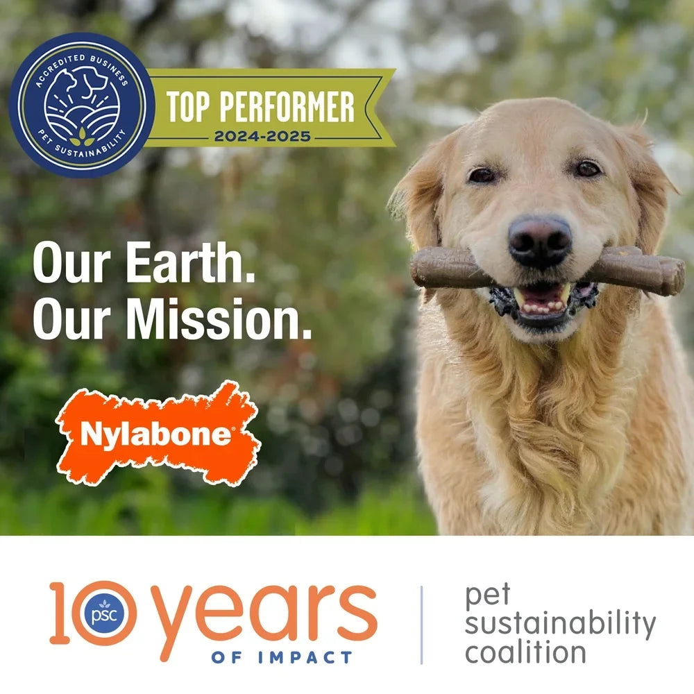 Tough Nylon Power Chew Dog Dental Toy w/Paw Grips