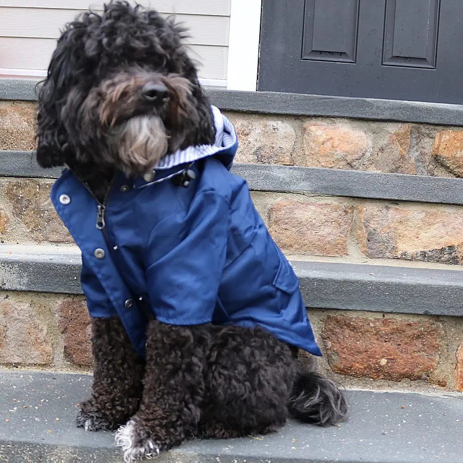 Stylish Colorful Hooded Waterproof Dog Rain Coat