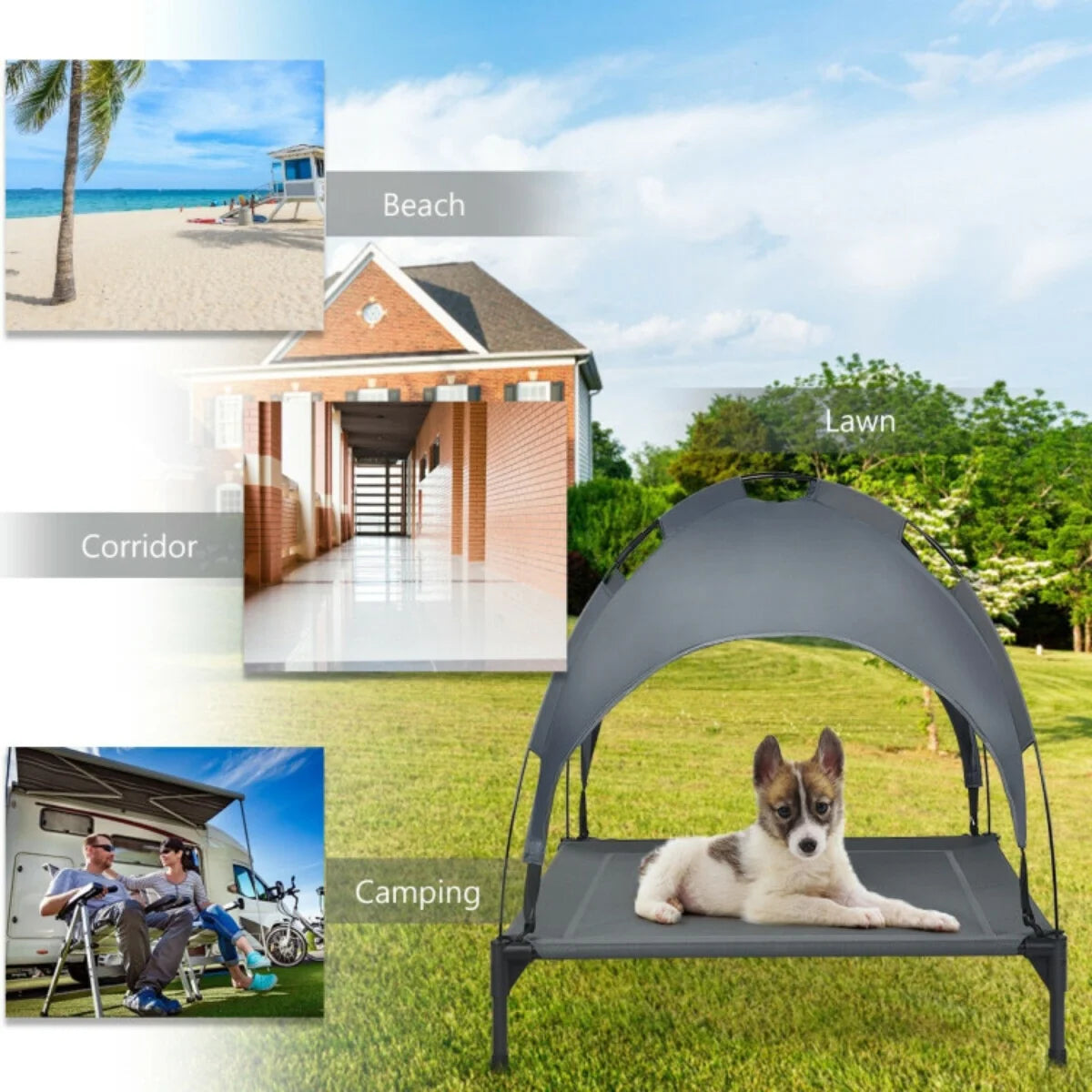 Pet Bed with UV Canopy