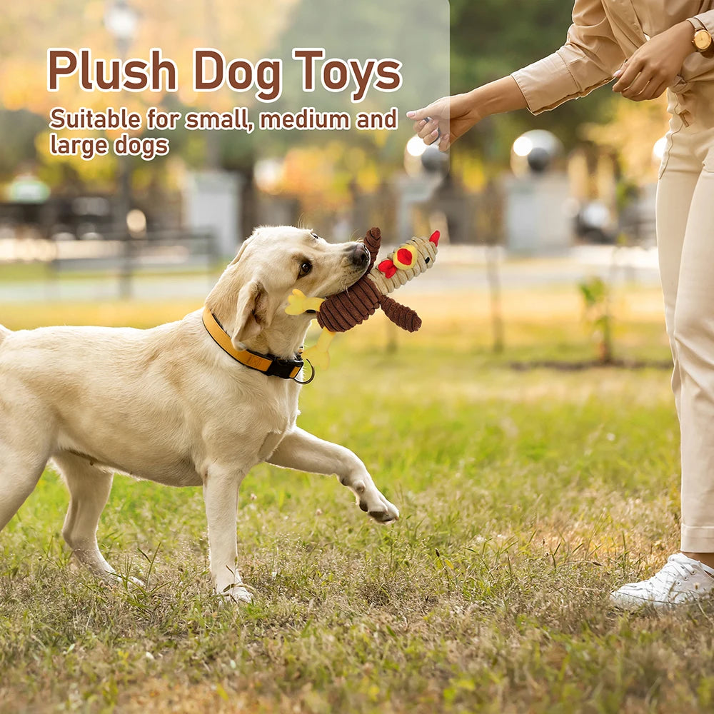 5PC Set Plush Pet Squeaky Toys