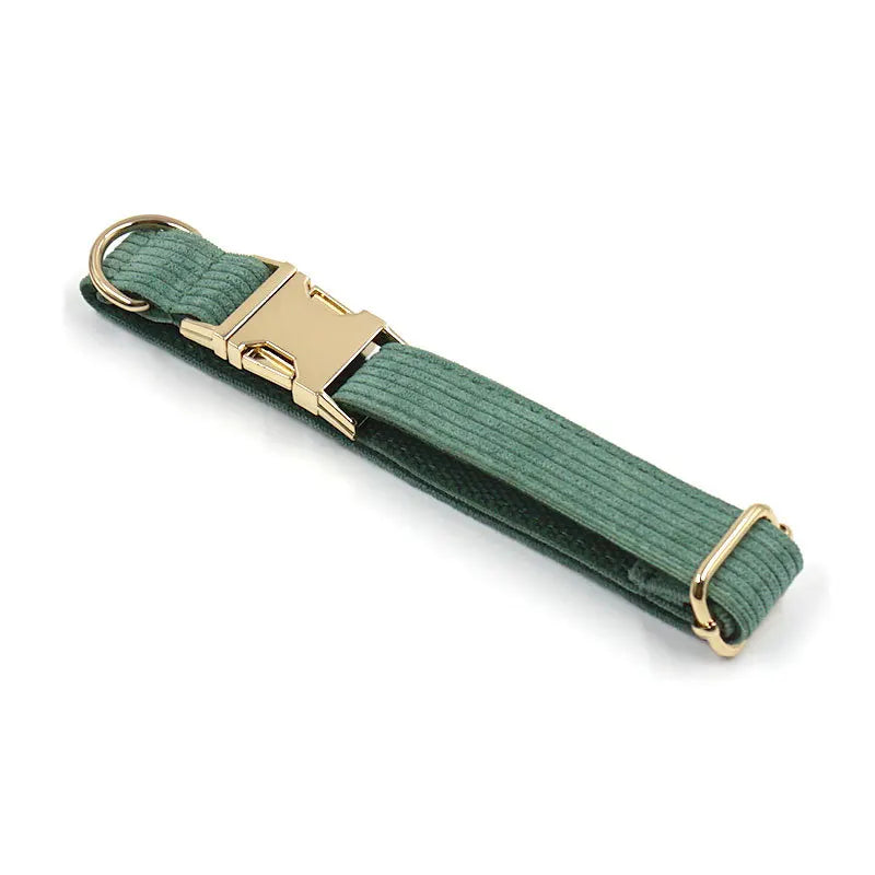 Fashion Corduroy Dog Collar w/ Gold Metal Buckle