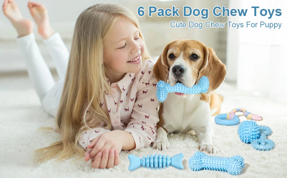 6 PC Set Soft Rubber Dog Chew Toys