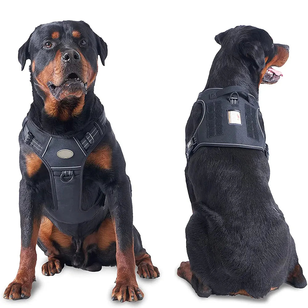 Fluorescent Reflective Tactical Vest Harness & Leash Set