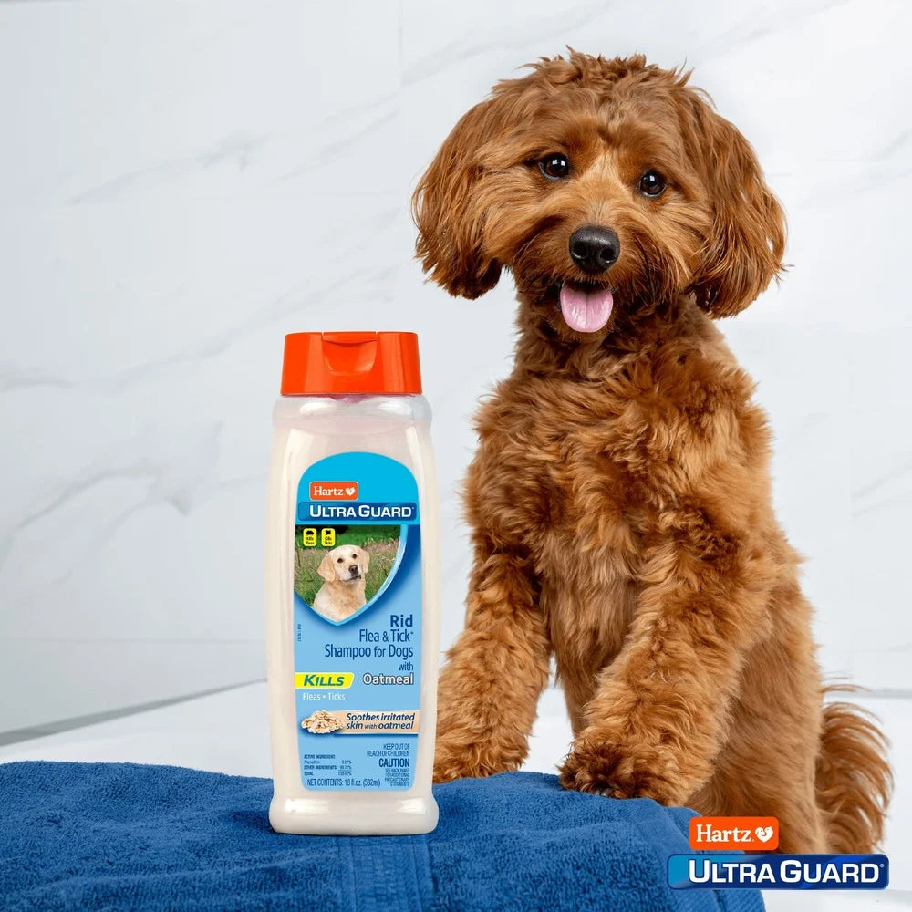 3 Pack Fast-Acting Oatmeal Flea & Tick Dog Shampoo