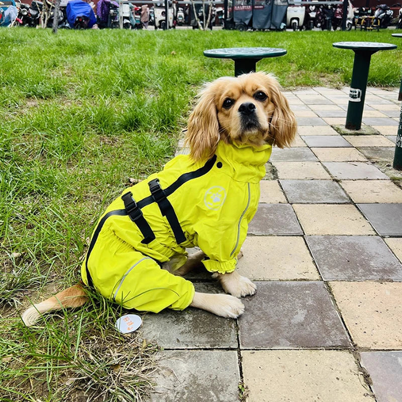 Adjustable Waterproof Dog Jump Suit w/Detachable Hood