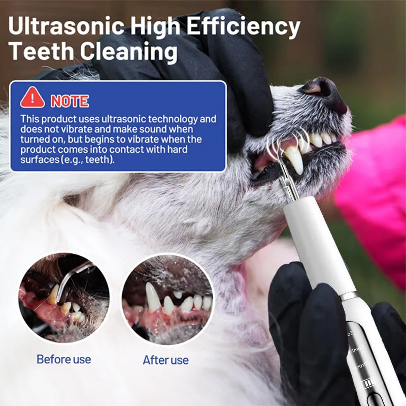 Ultrasonic Pet Dental Care Toothbrush Kit