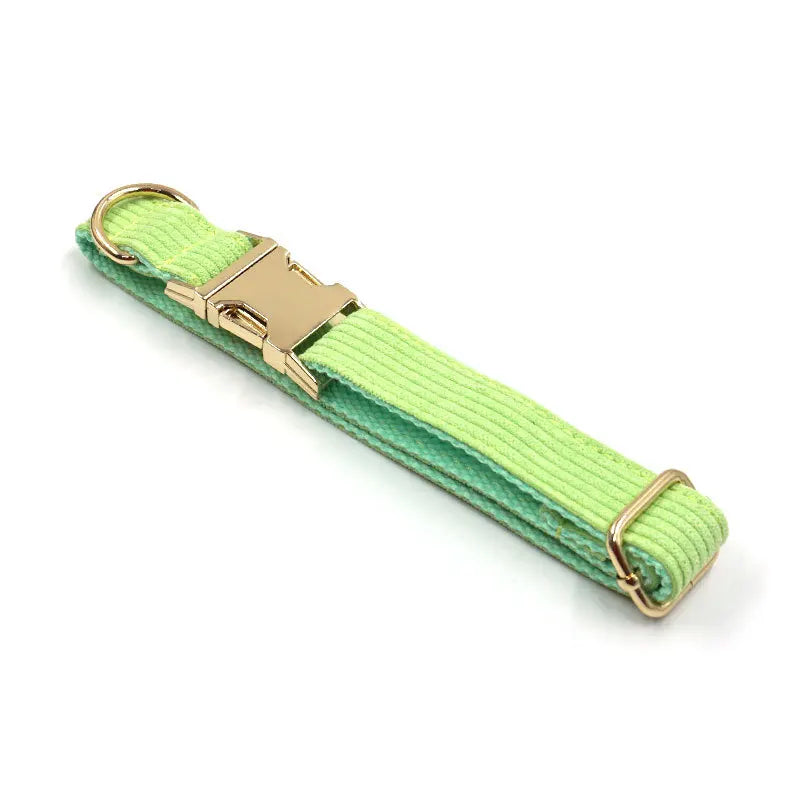 Fashion Corduroy Dog Collar w/ Gold Metal Buckle