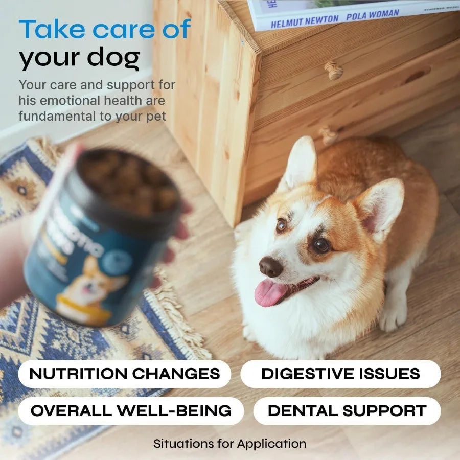 Immune System Support Dog Probiotic Soft Chews