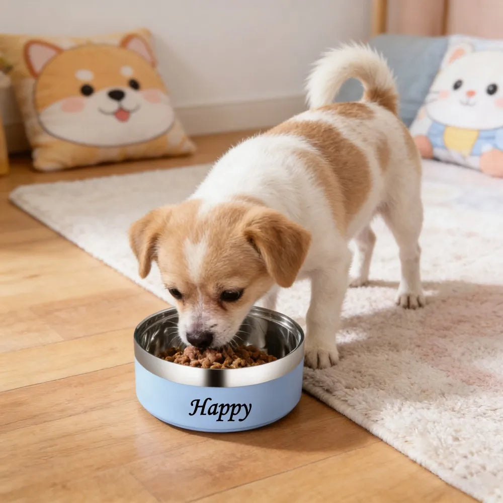Custom Engraved Stainless Steel Non-Slip Double Layer Pet Bowl