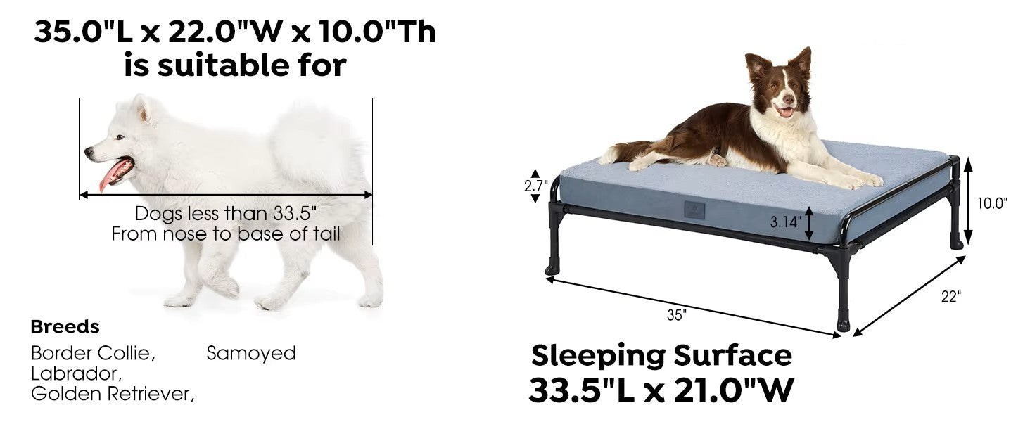 Three-Sided Guardrail Elevated Pet Bed w/Foam Cushion