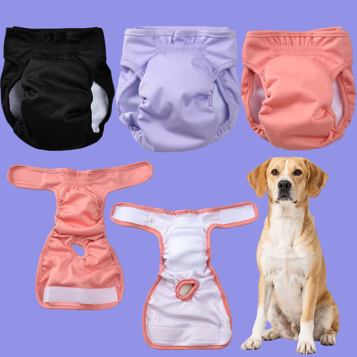 Dog Diapers, Pads &amp; Toilets