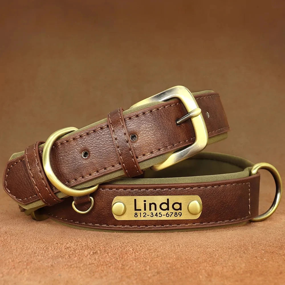 Soft Padded Leather Custom ID Dog Collar