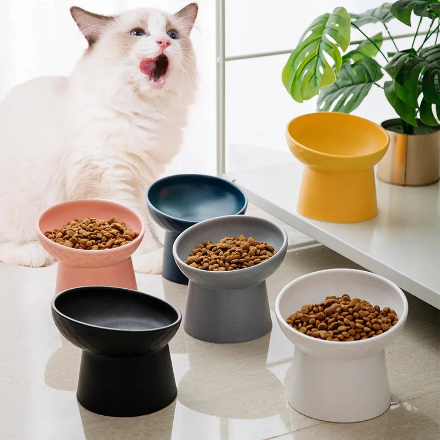 Nordic Style Elevated Ceramic Pet Dish