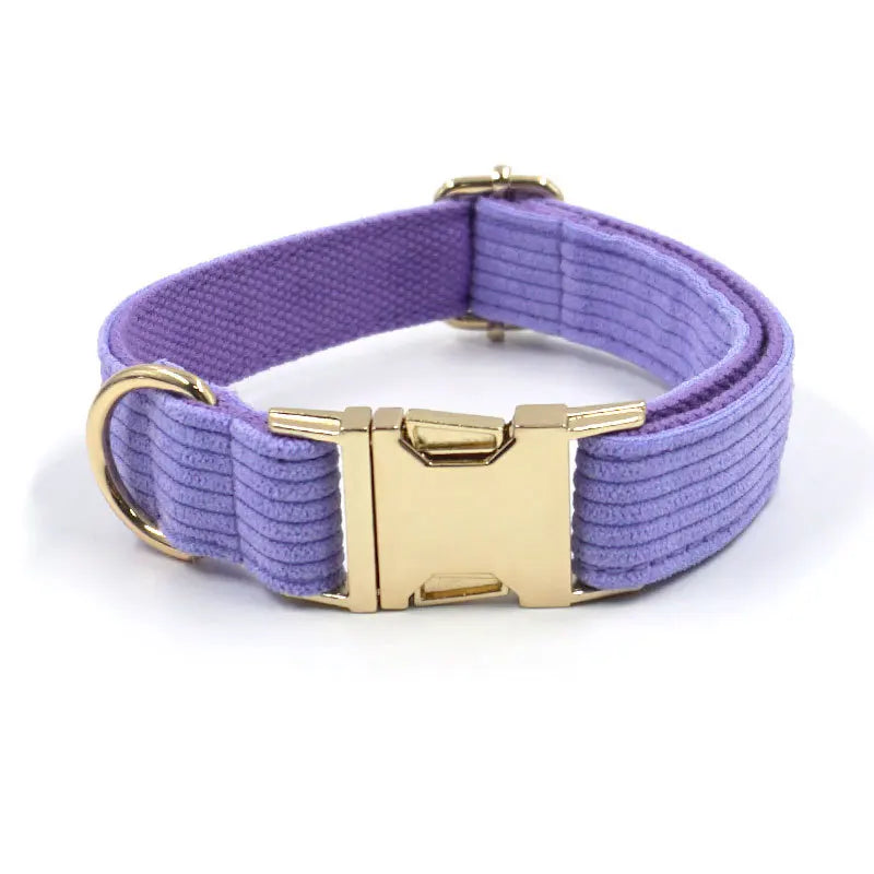 Fashion Corduroy Dog Collar w/ Gold Metal Buckle