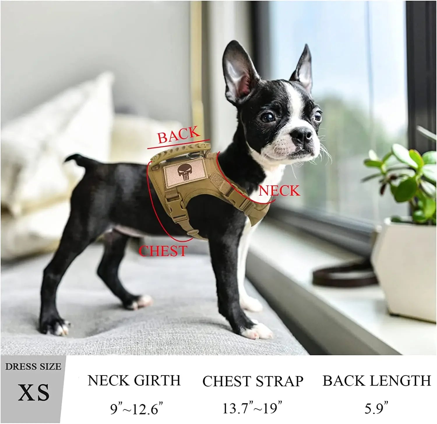 Small Dog Tactical Training Vest Harness