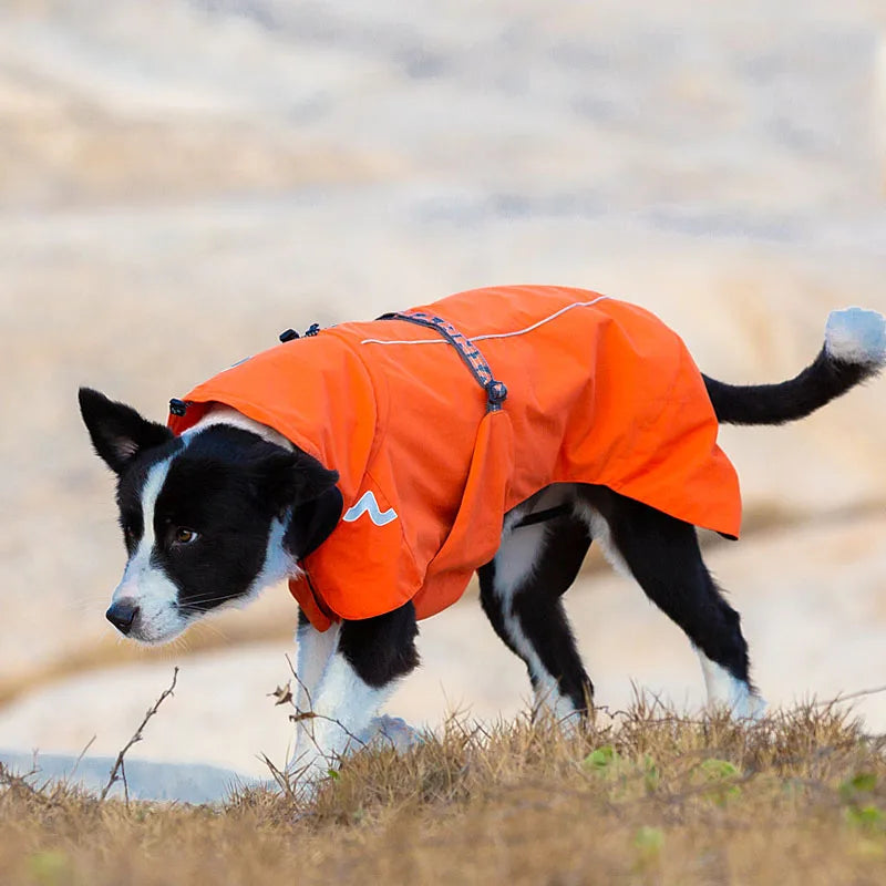 Fashion Waterproof Pet Windbreaker Rain Jacket