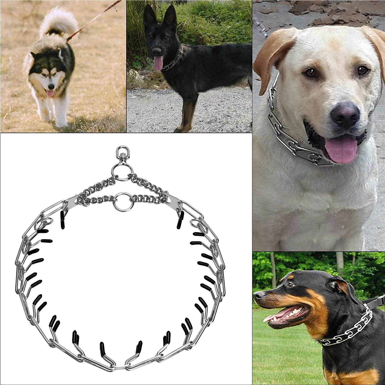 Stainless Steel Pinch Dog Collar