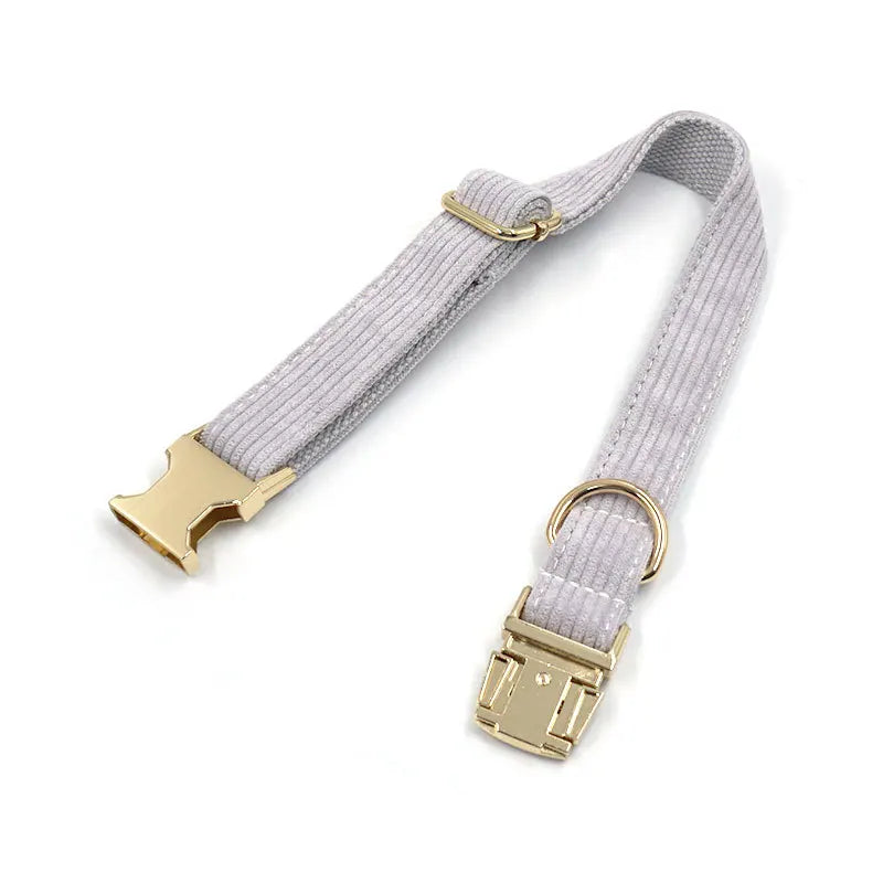 Fashion Corduroy Dog Collar w/ Gold Metal Buckle