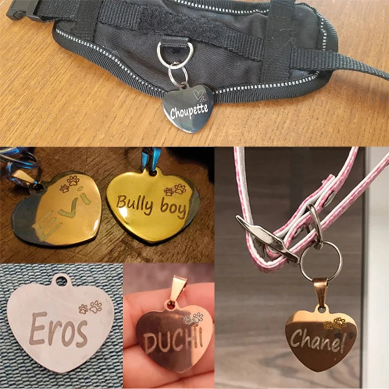 Multi-Shaped Custom Engraved Stainless Steel Pet ID Tag