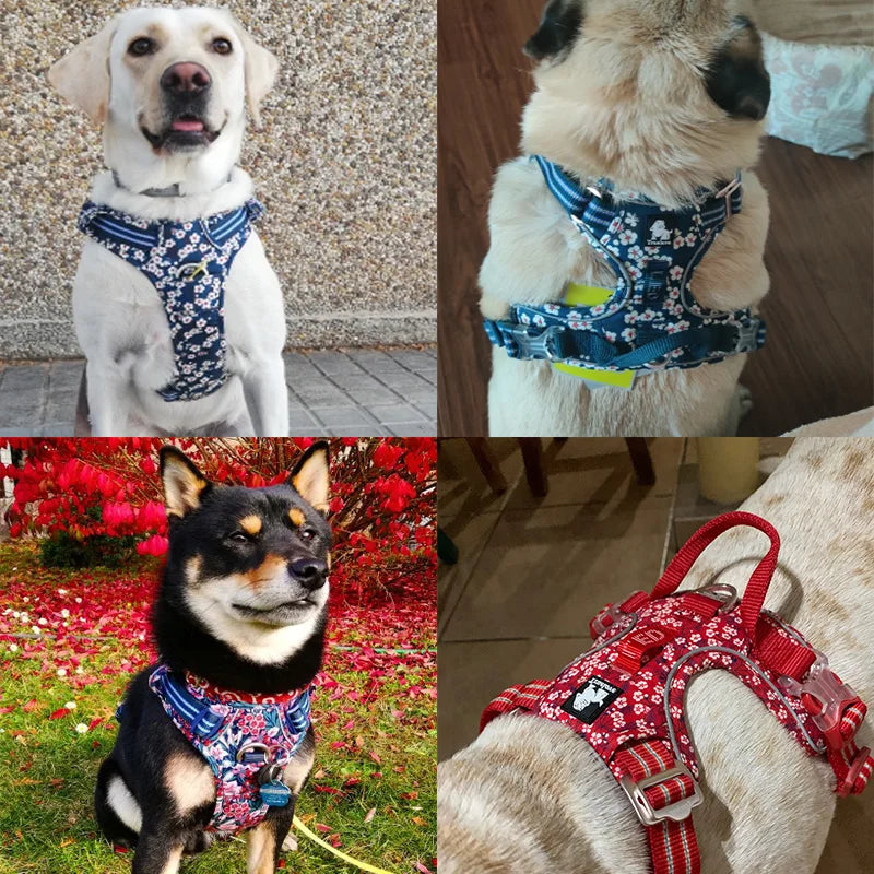 Floral No-Pull Adjustable Safety Dog Harness