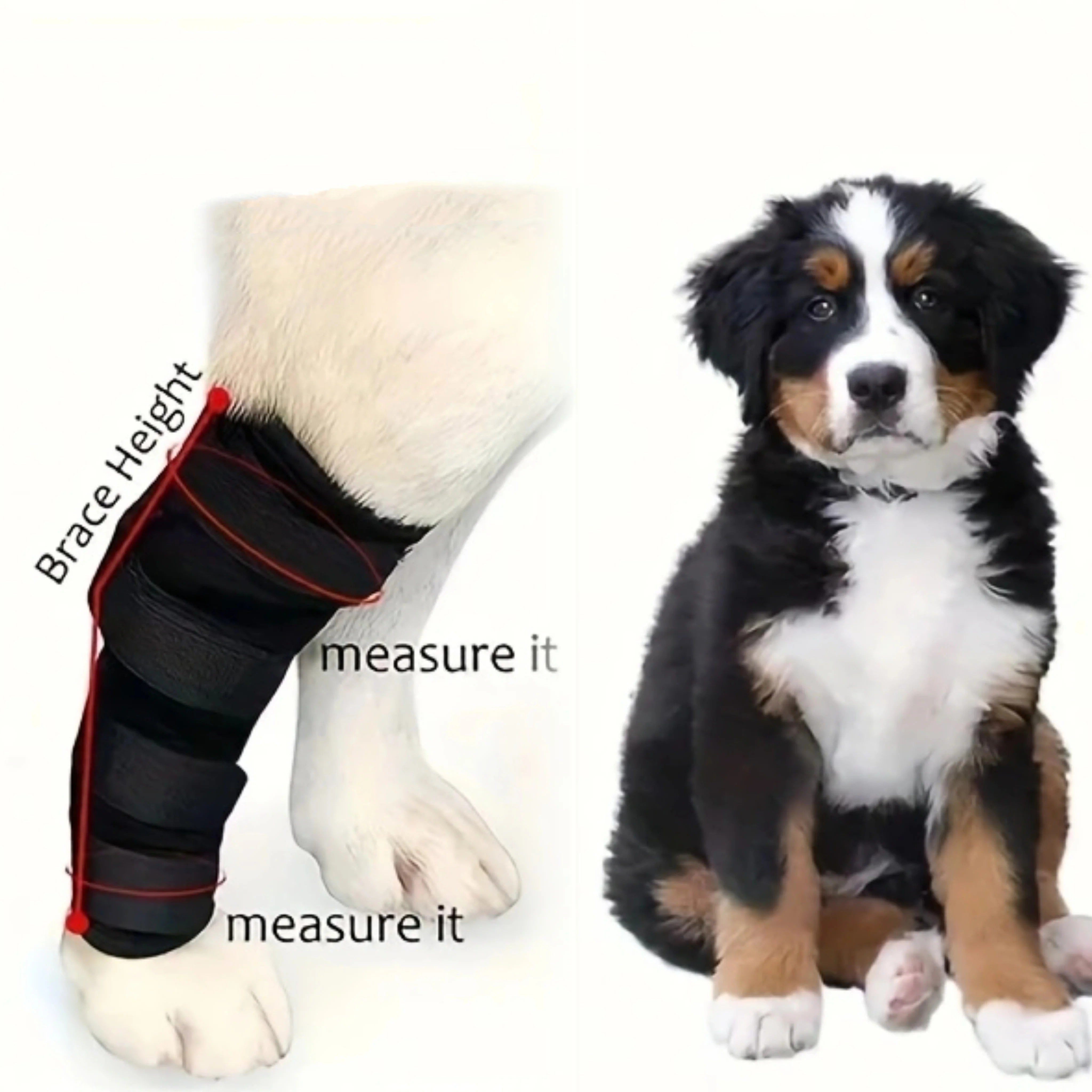 2PC Dog Joint Brace Bandage Wrap