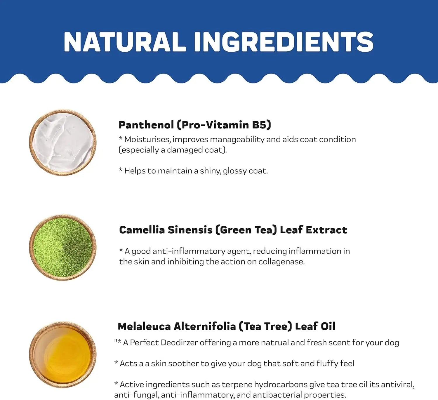 Natural Oatmeal & Honey Sensitive Skin Pet Shampoo + Conditioner