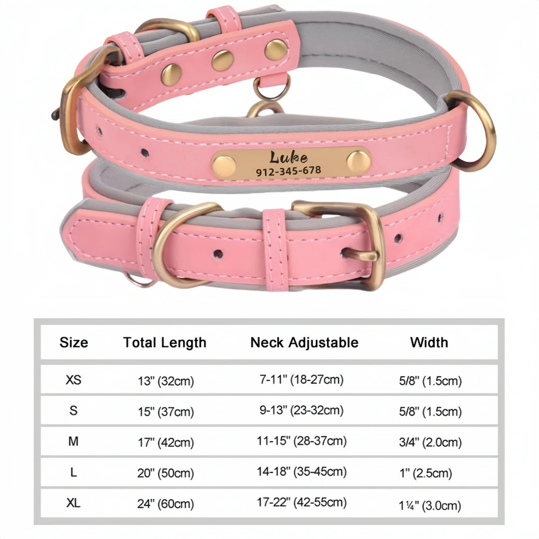 Soft Padded Leather Custom ID Dog Collar