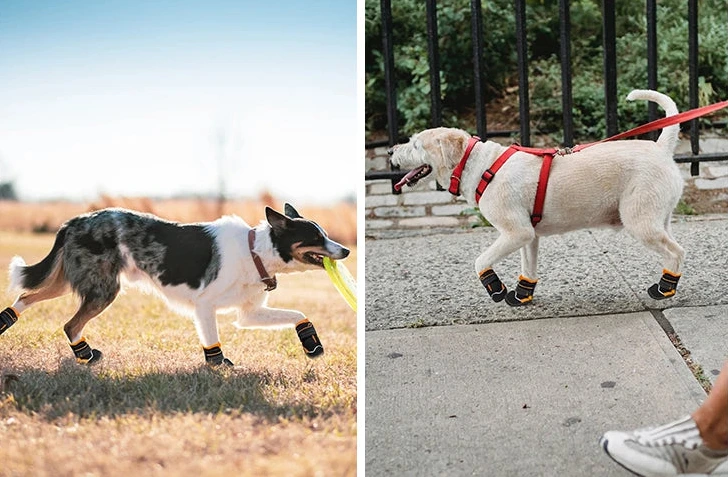 Premium High-Cut Reflective Waterproof Dog Paw Protector Boots