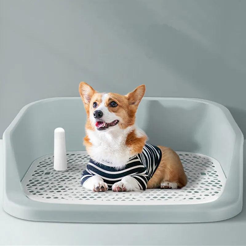 Washable Indoor Dog Training Toilet
