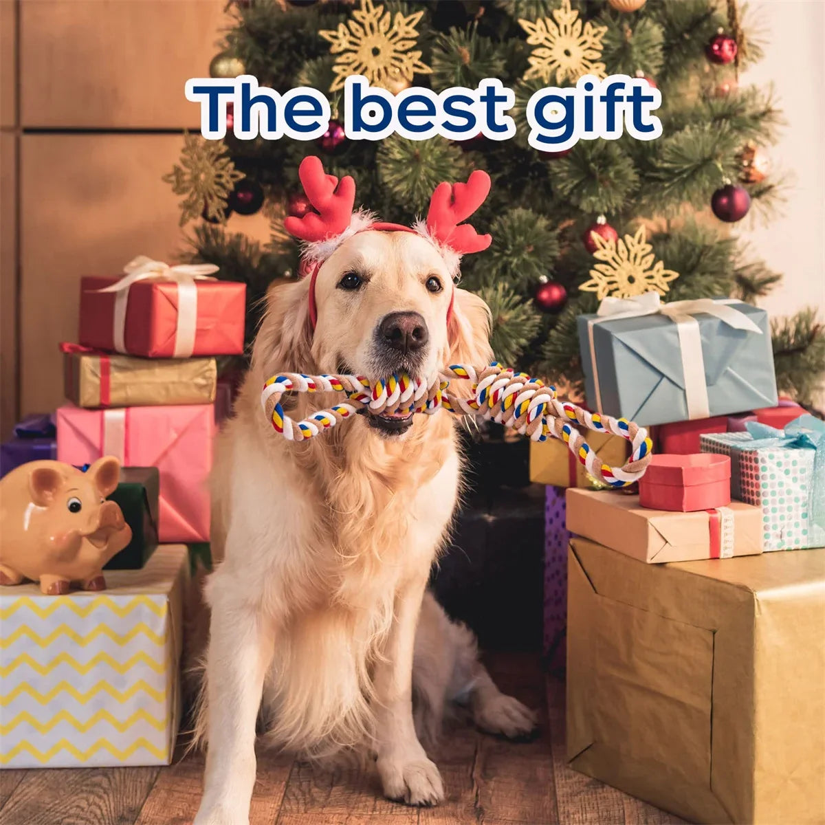 Virtually Indestructible Chew Rope Dog Toy