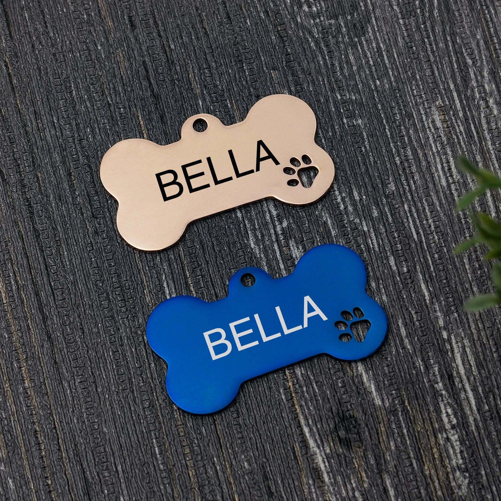 Stainless Steel Personalized Dog ID Tag