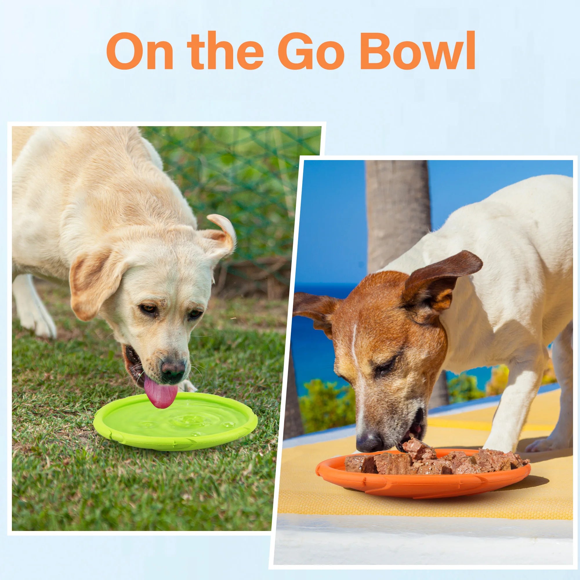 2-Pack Natural Rubber Dog Flying Frisbees