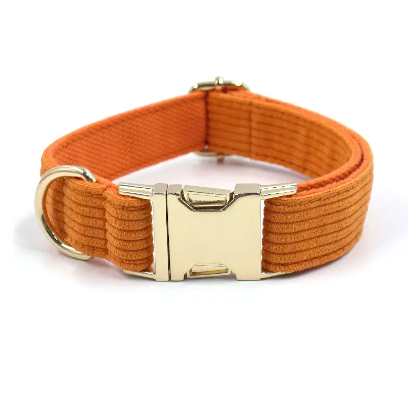 Fashion Corduroy Dog Collar w/ Gold Metal Buckle